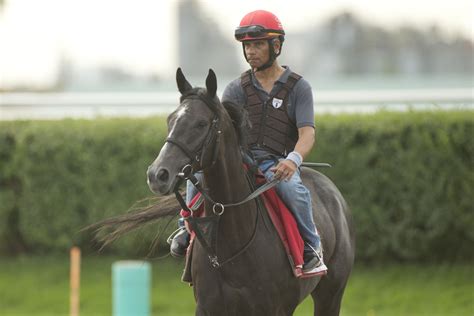 gg com horse racing today|Chiefs TE Travis Kelce purchases stake in race horse 'Swift .
